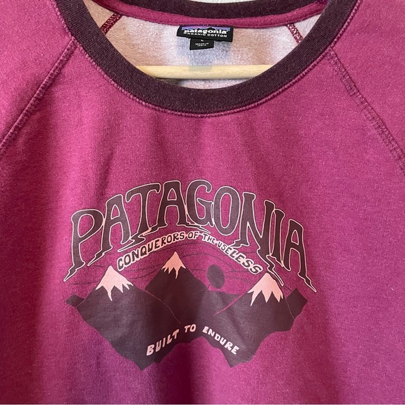 Patagonia Conquer the Useless Sweatshirt - Picture 2 of 4